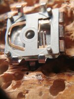 IMG_20251021_172229.jpg