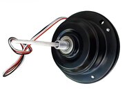Motor BLDC.jpg