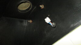 IMG_5432.JPG