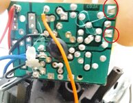 Calavera. 20251104_171546.jpg