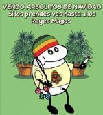 Vendo árbolitos.jpg