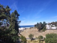 1000095603.jpg 1000095603.jpg