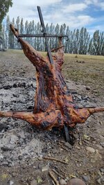 1000110197.jpg 1000110197.jpg