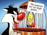 Tweety.jpg Tweety.jpg