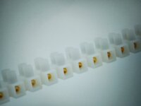 1000032303.jpg 1000032303.jpg