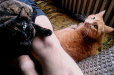 Lilith & Rocío & krlosss.jpg