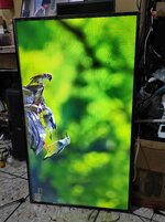 IMG_20260424_173459.jpg