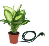 planta electrica.jpg