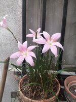 IMG_20260701_115755.jpg