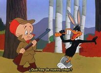 looney_tunes_rabbit_seasoning-780018801-large.jpg looney_tunes_rabbit_seasoning-780018801-large.jpg