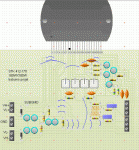 projet babuino.gif