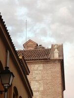 IMG_20260725_212847.jpg