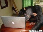 funny-laptop-portable-pics-9.jpg