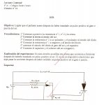 circuito_n16_958.jpg