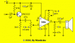 Circuito Ruby modificado.GIF