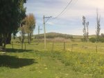 Paisaje 3.jpg