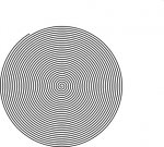 Espiral 2.jpg