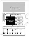 4-SD-interna.png