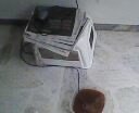 IMG0007A.jpg