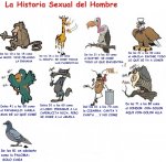 Historia del Hombre.jpg