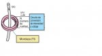 Diagrama De Bloques(1).jpg