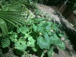 Imagen0399.jpg