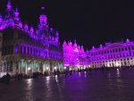 Bruselas Purpura.jpg