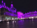 Bruselas Purpura.jpg Bruselas Purpura.jpg