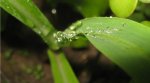 IMG_3813.jpg