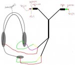 esquemadeauriculares2.jpg
