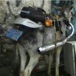 MOTO ECOLÃ“GICA.JPG
