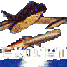 Exocet