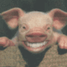 cssebas