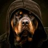 El Perro