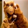 Alf007