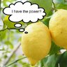 limontodo