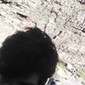 suarezz