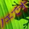 ElTox