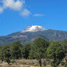 grenifacio1
