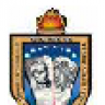 Fjogunefa
