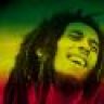 amauricio