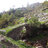 altusalbo