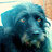 Weico