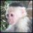 Munky