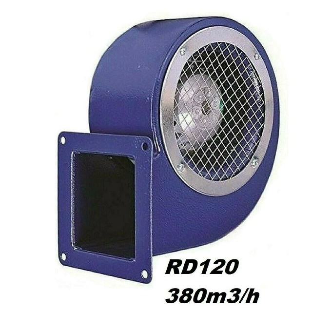51092045157_d014b95aed_z.jpg