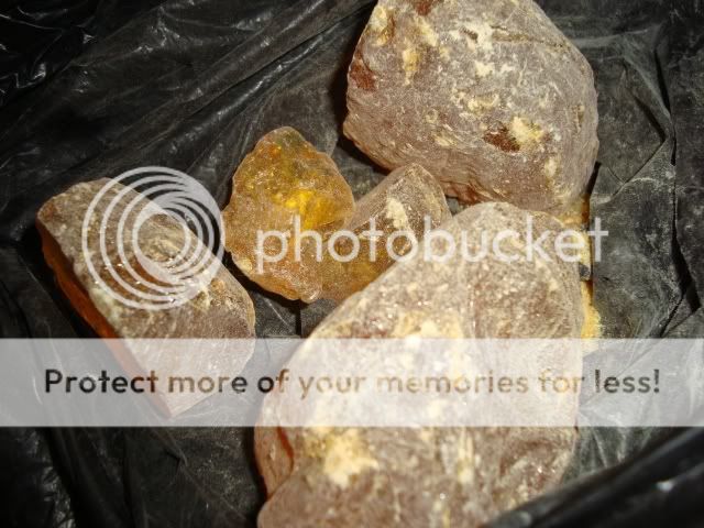 DSC01505.jpg