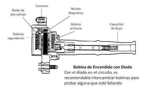 Distribucion_017.jpg