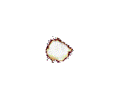 explob.gif