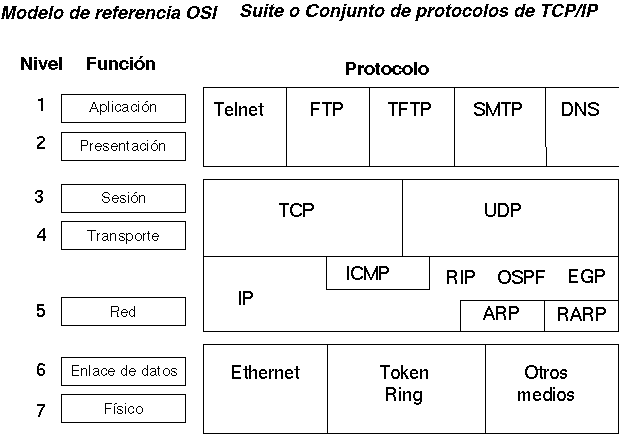 image1.gif
