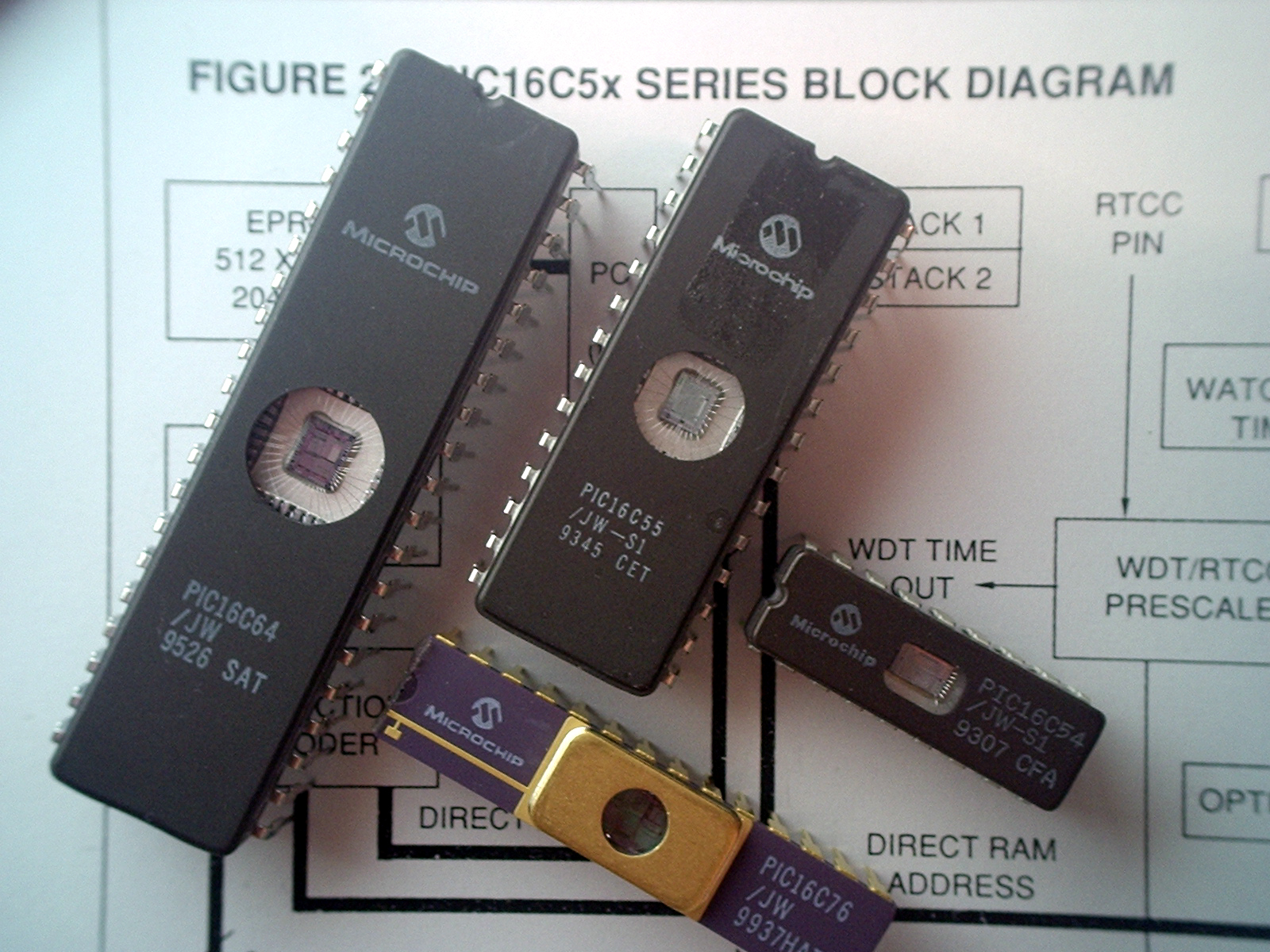microsdd.jpg